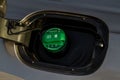 ÃÂ¡losed green fuel cap with the inscription `Diesel`.